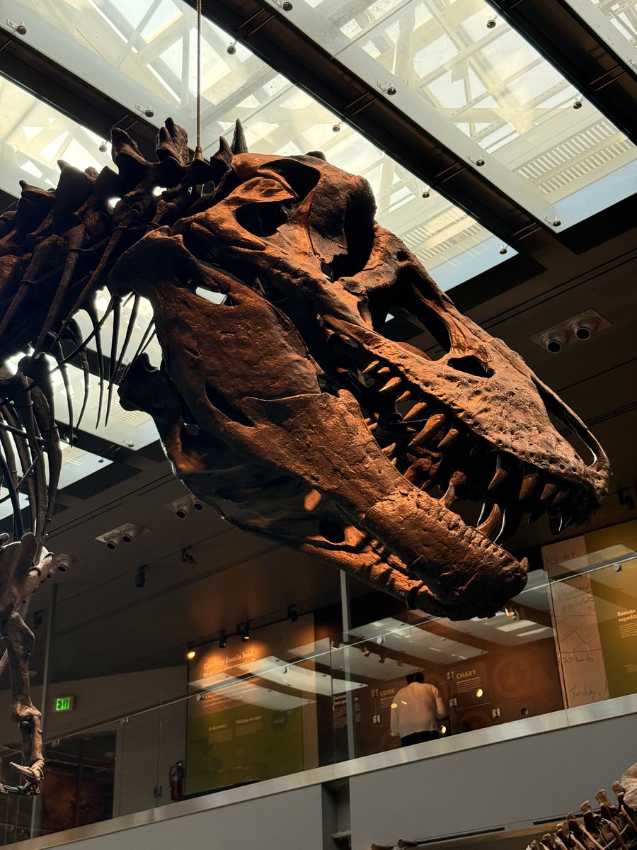 这才是地球真正的主人，令所有生命闻风丧胆的霸主，不受一切约束（甚至包括情感和道德）的杀戮机器。它们的退场只有一个目的，就是给人类一个机会。今天去博物馆，挨个感谢了一遍。您是大哥！