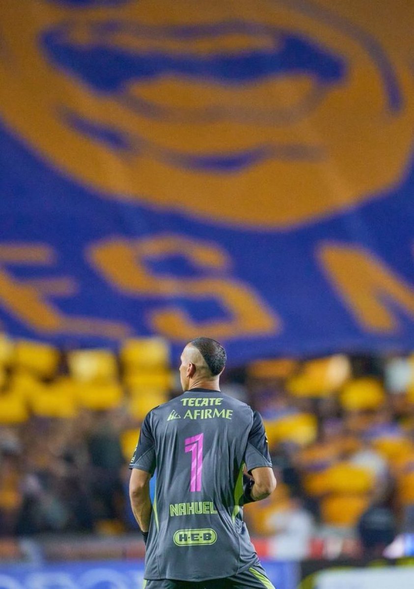 Xavier Sol la Lande tweet media