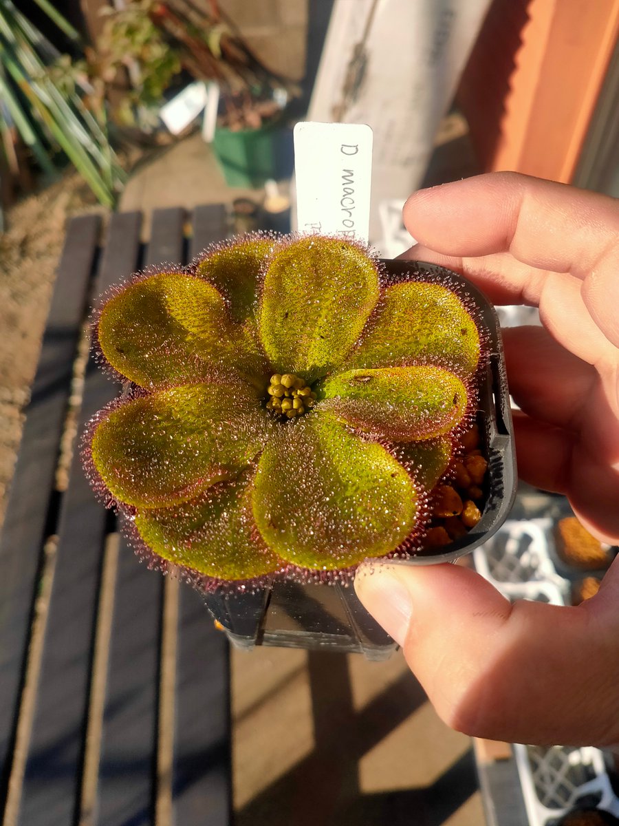 鍵の君 (@kaginokimi0077) / Posts / X