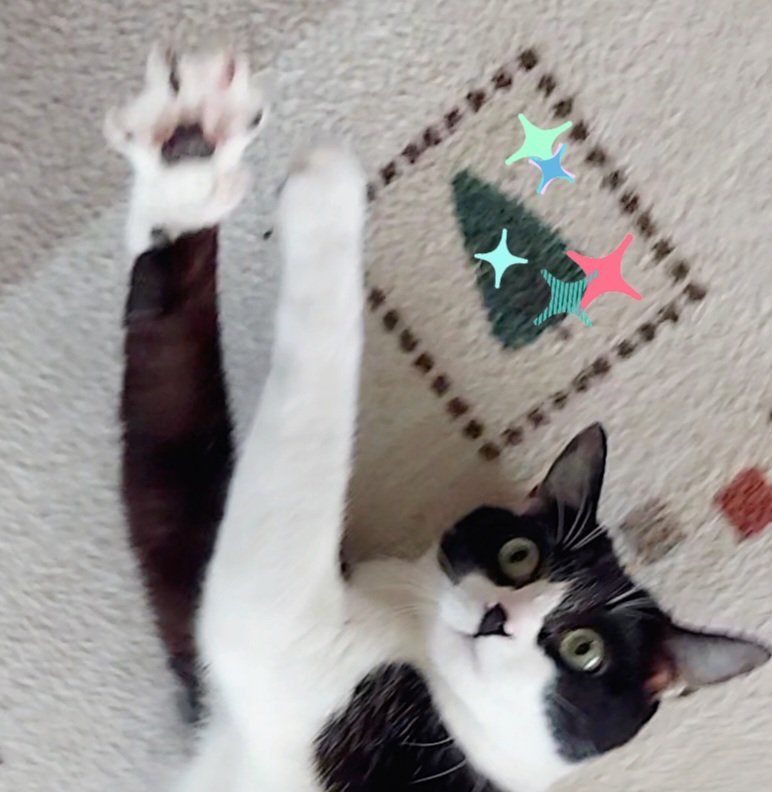 XltSu6SjDsy8Xmw 正解⭕です😆👍 両方なんて…欲張りさんですね～