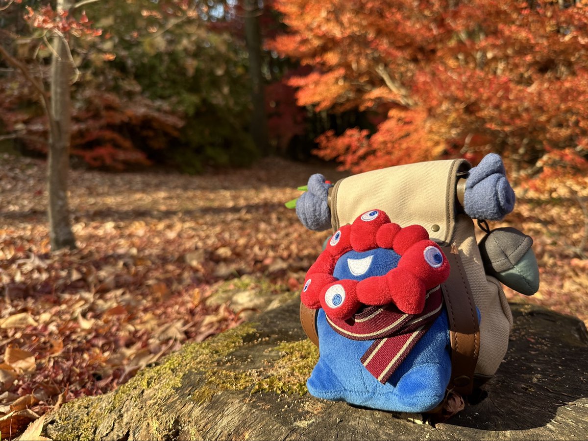 やみい❤️💙万博LOVE_神戸大阪北摂お出かけ時々中受