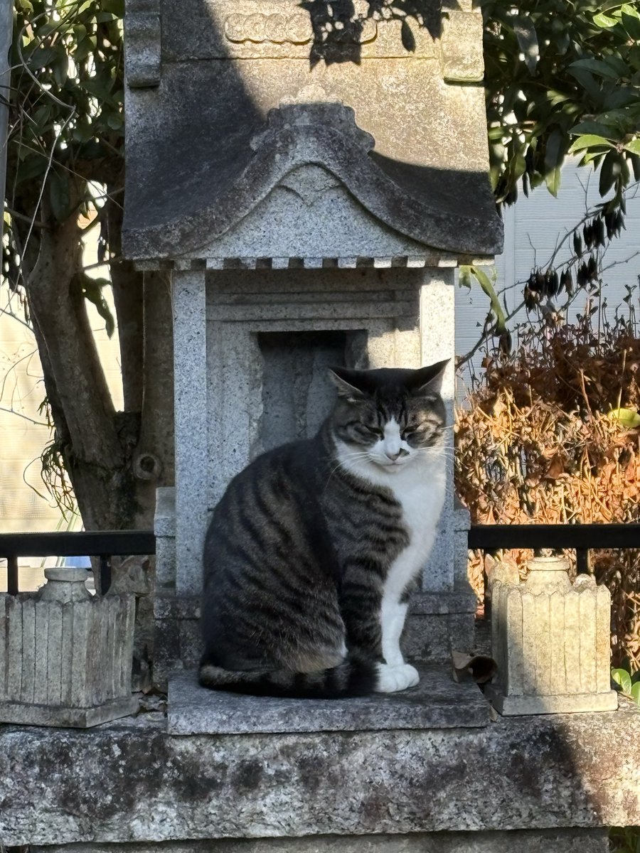 ジャスミン (@jasmine_64) / Posts / X