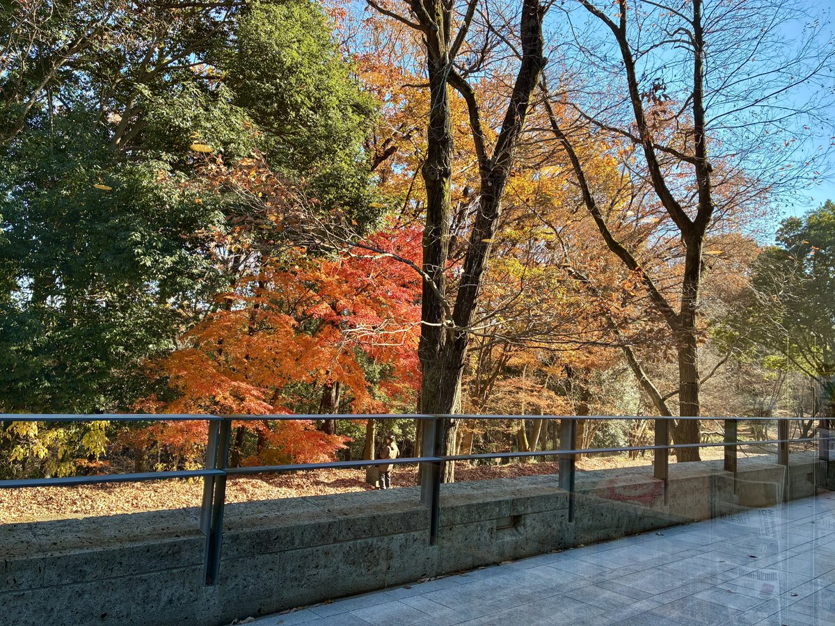 宇都宮美術館で12月21日まで開催中の「ライシテからみるフランス美術──信仰の光と理性の光」を見てきました⛪️🇫🇷好評につき宇都宮会場分の図録は完売、関連書籍として販売中の「美術の窓」7月号も追加納品した分が残り1冊となっていました😳同展は来年1月17日から三重県立美術館に巡回します。(引)