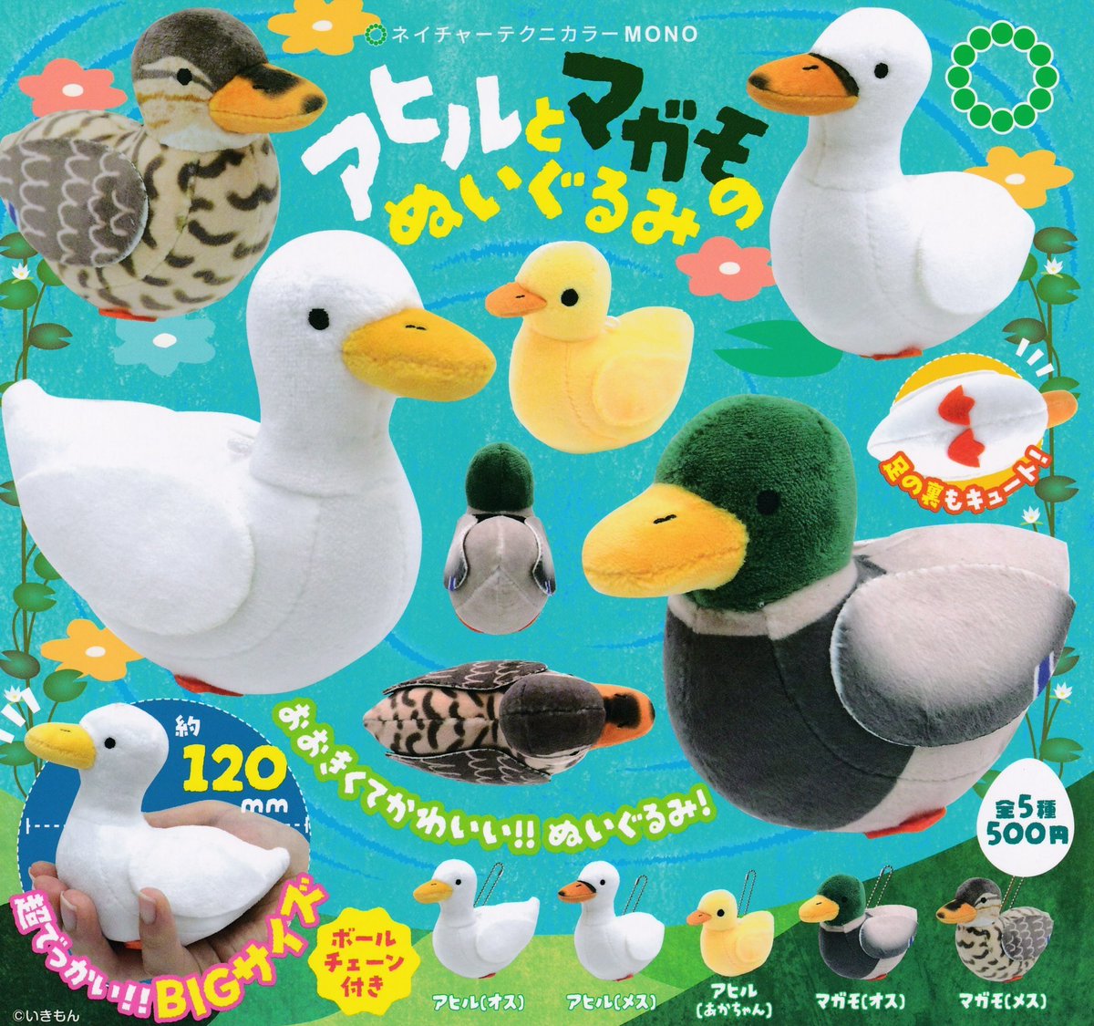 12/7 (日) 🔔再入荷情報🔔

🦆アヒルとマガモのぬいぐるみ

こちらの商品再入荷致しました✨  

#ドリームカプセル岡崎 
#イオンモール岡崎