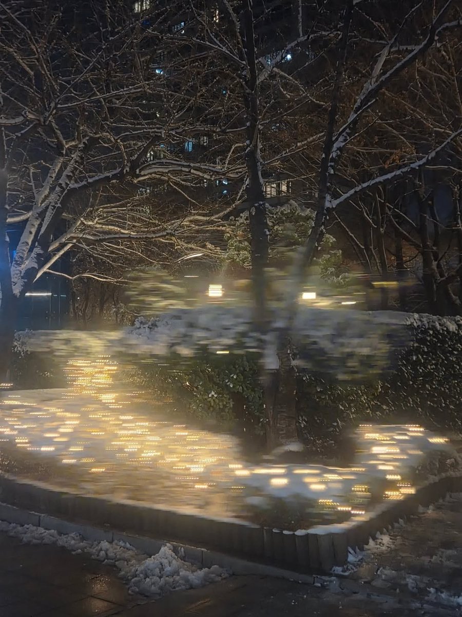 사또밥 tweet media