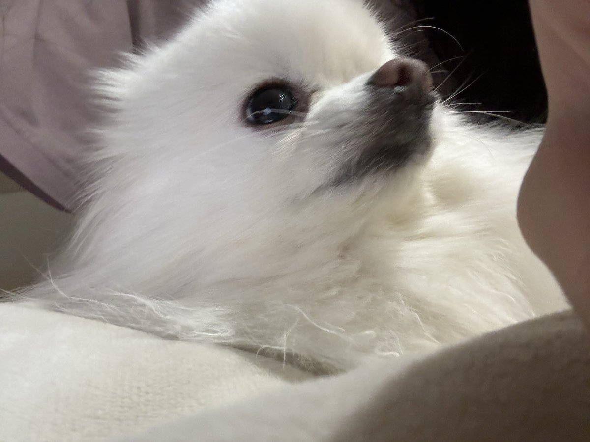 여왕 (@qqqueeeeeeen) on Twitter photo 