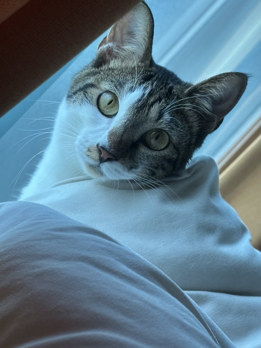 순간포착으로 엄청난 사진을 찍었다.
이불에서 막 나온 뿌시시 뽕주댕이 고영