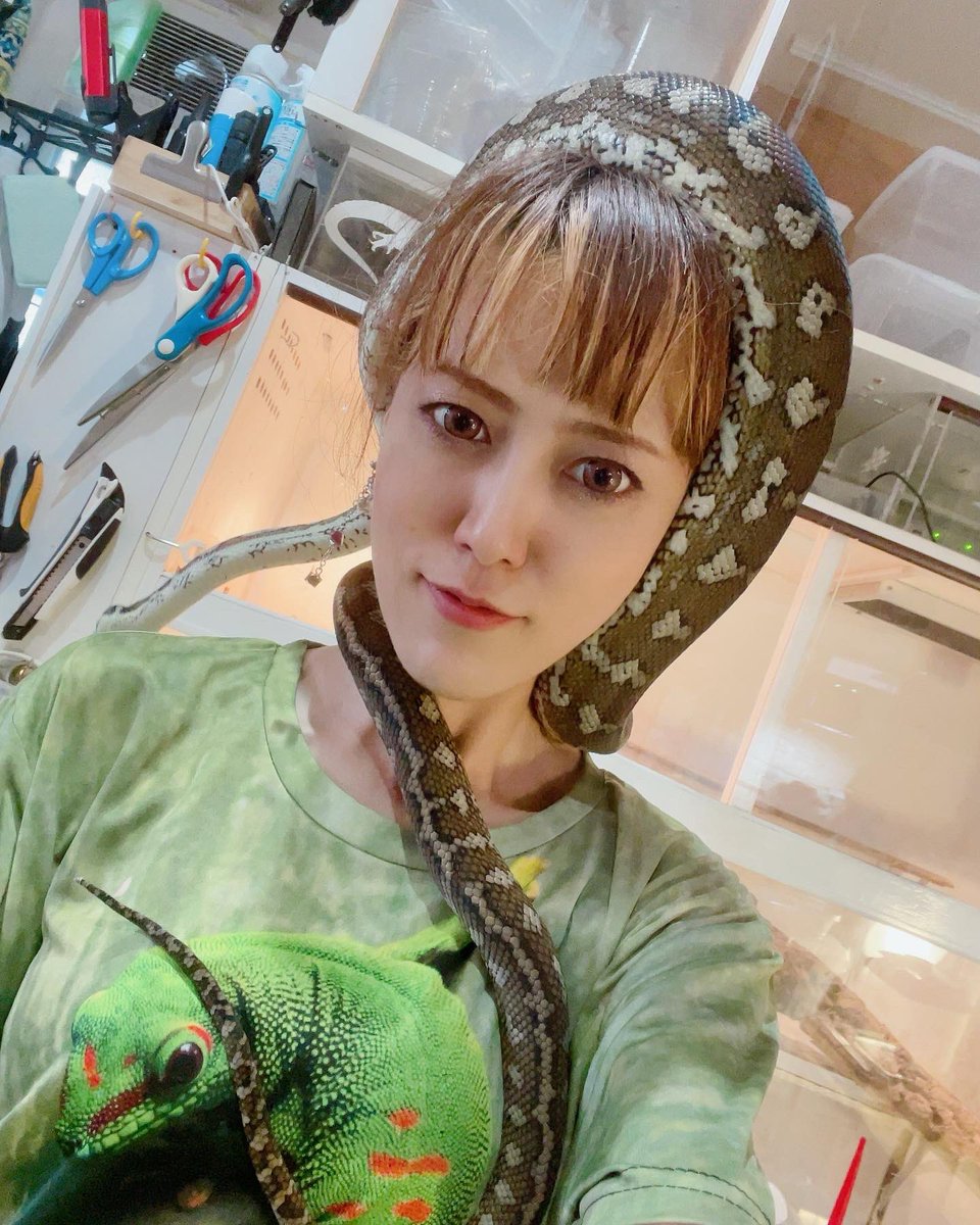 アーシャのはちゅアカ tweet media