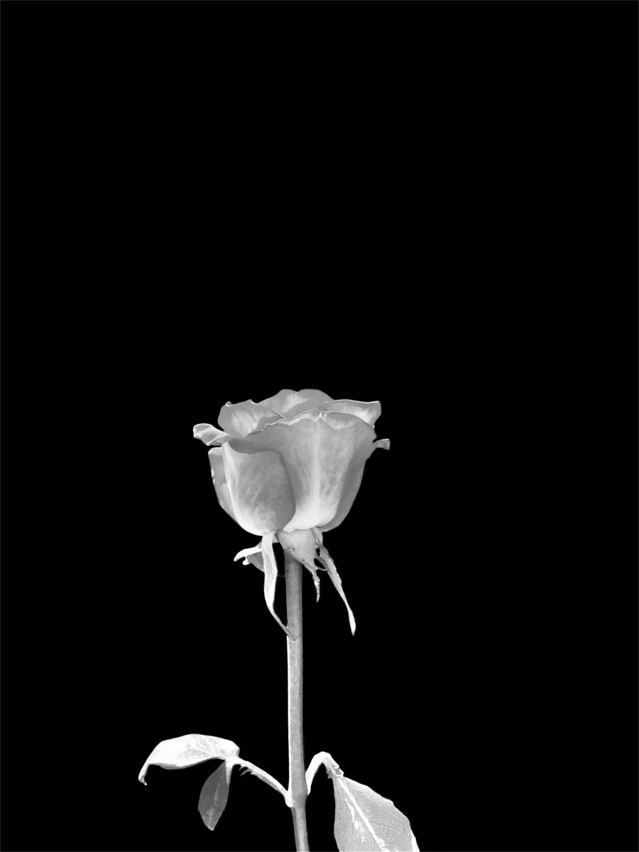 This is for those who sadly live life following their heart instead of their mind 🖤