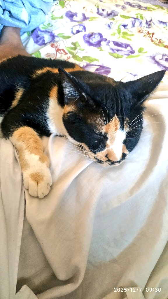 Tanvir Shah... a 💙 ♏ tweet media