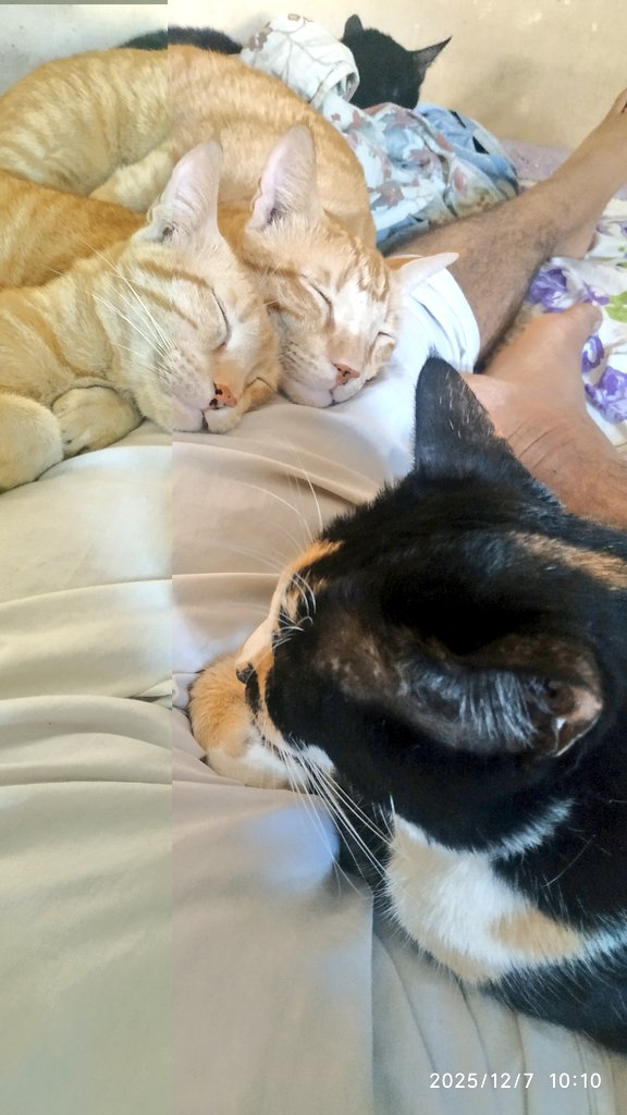 Tanvir Shah... a 💙 ♏ tweet media