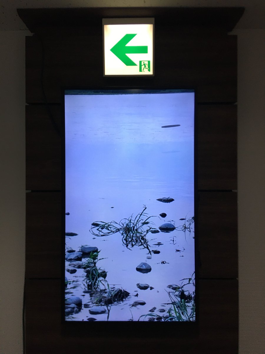 面倒な批評的ジャーゴンを脇に措けば、「これは絵だな」「これは絵かな」「これは絵ではないな」という作品が混在する展観で、伊藤瑞生・黒坂祐らの作品に涙する鑑賞者が、布施琳太郎や米澤柊の作品を熟視するきっかけになれば（あるいは逆も）、“複雑”な“私たち”にも輪郭が与えられるだろう。