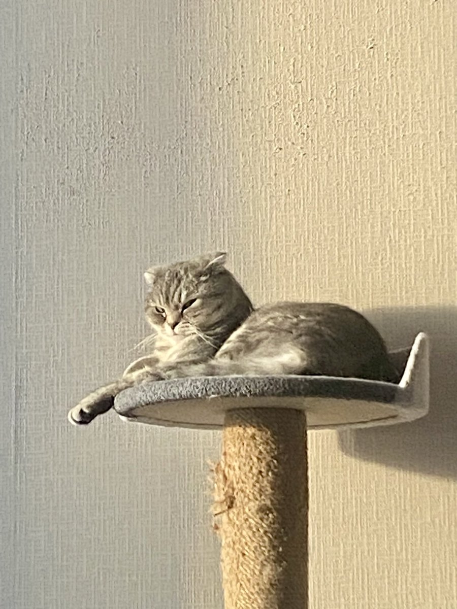 доброе утро👹👺😀