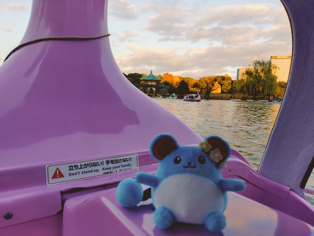 まりまるマリリ tweet media