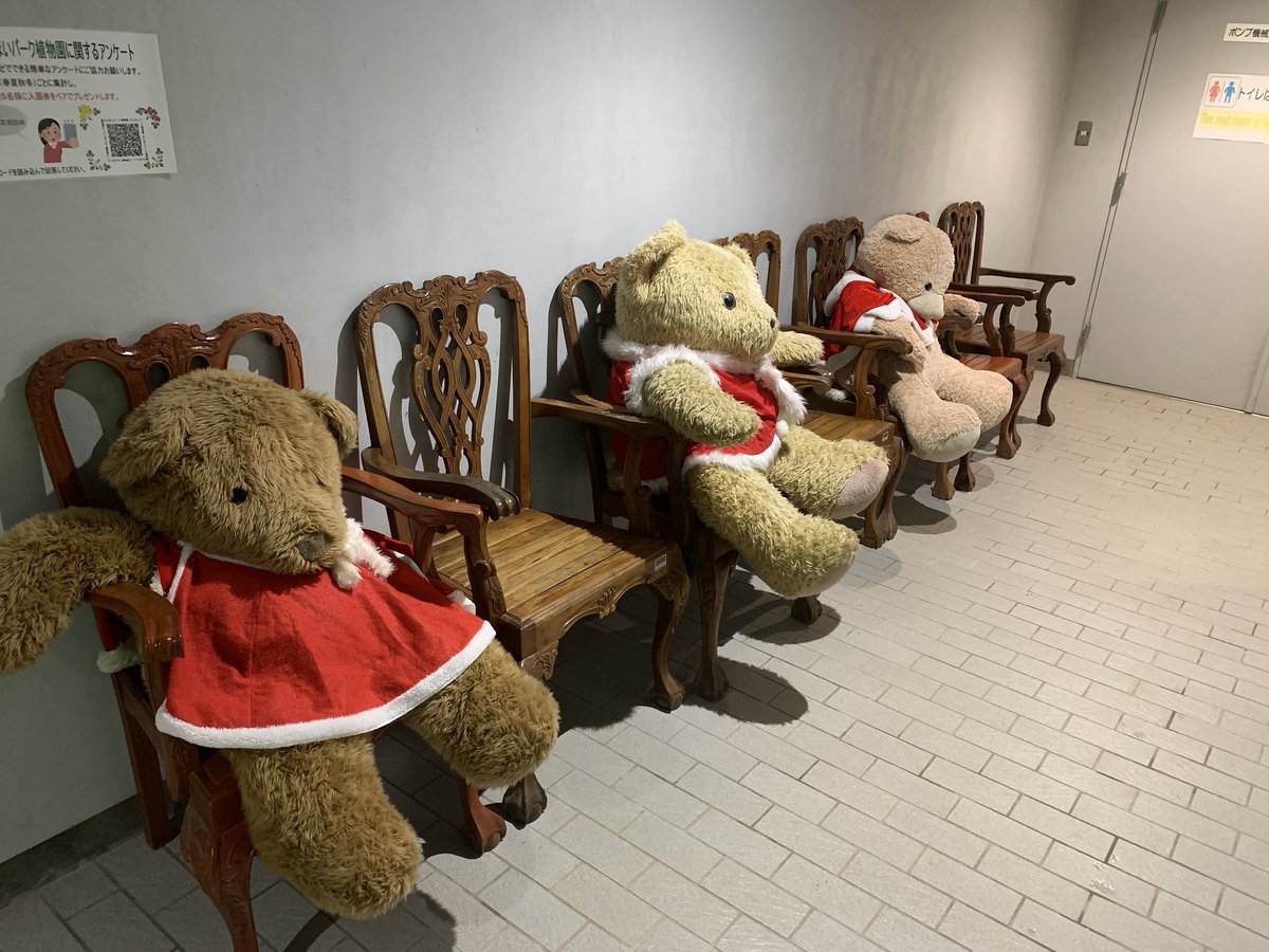 ちゅんちゅん丸🩵💛🩵💛 (@tsutomu32026) / Posts / X