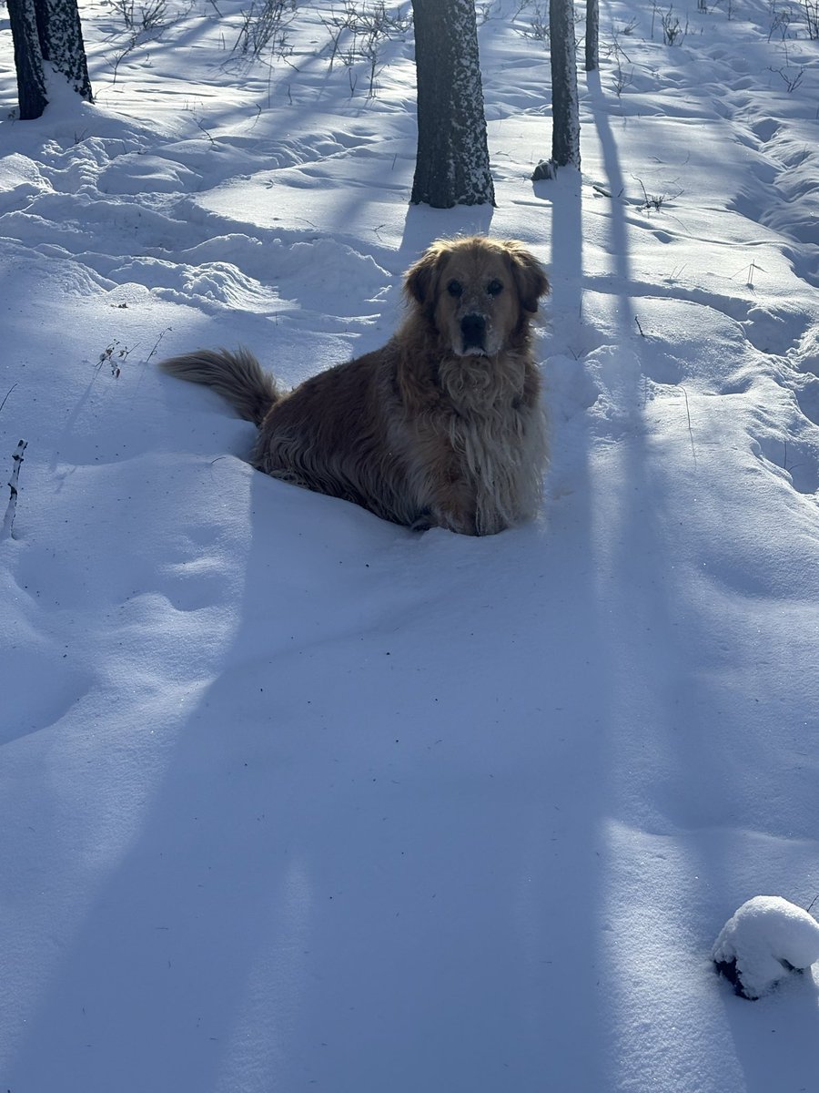 Зурагаа даруул гэнгүүт л 🤩