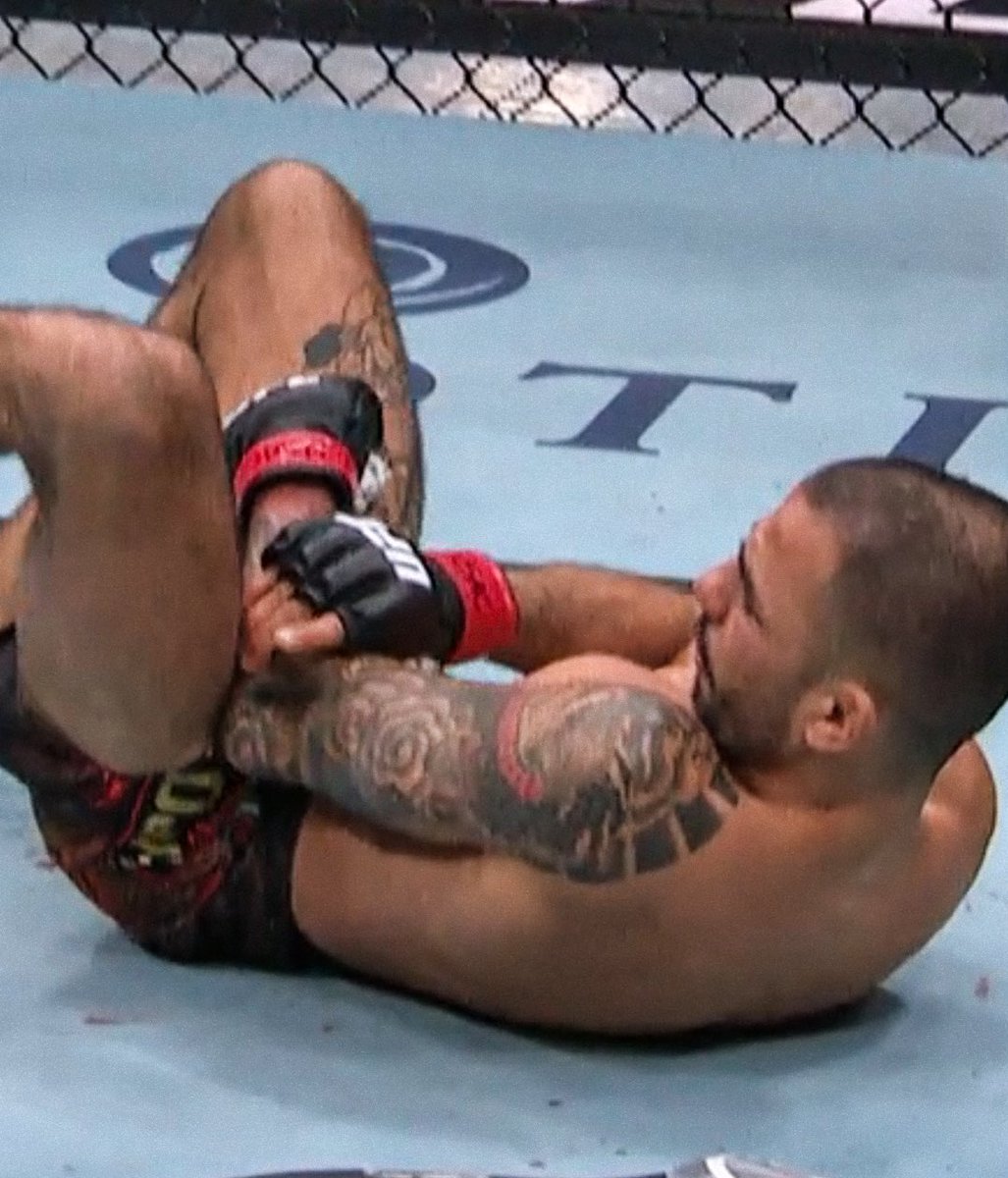 𝗫𝗮𝘃𝗲 🇦🇺 tweet media