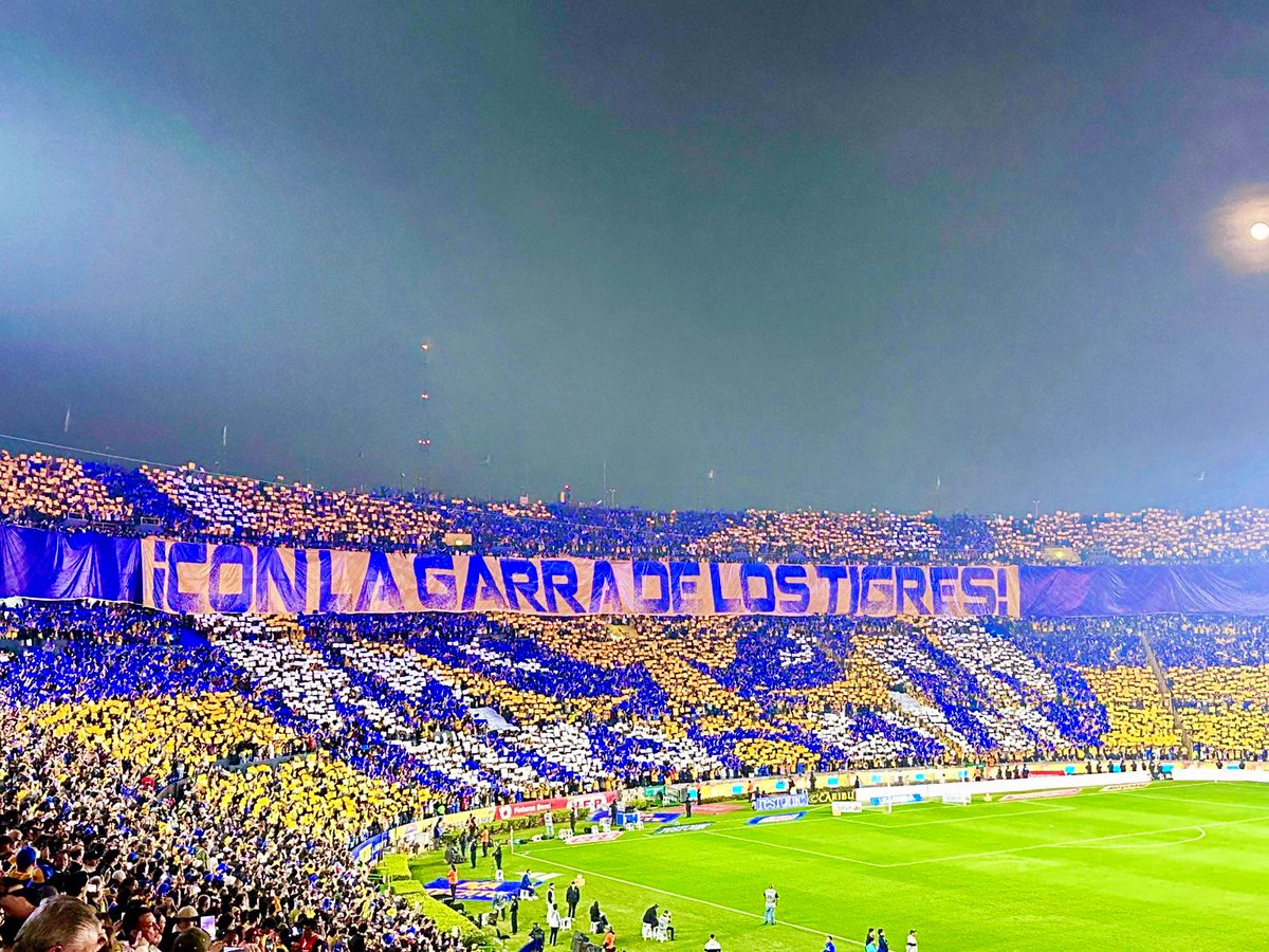 SamReyes98's tweet photo. Somos Los Pinches Tigres y Vamos Por Todo!!! https://t.co/nz2LSCcM2d