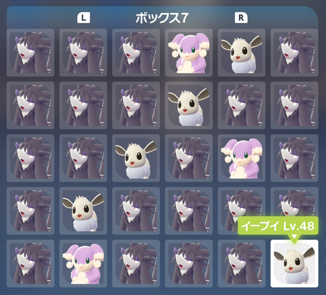 syumiPokemon's tweet photo. ポケモンZA『何でも交換会』開催のお知らせ

【日時】
12月8日(月)22時～23時

主は『19番産色違いのポケモン』を流します。
色違いラブボ入り親分イーブイ♂も流すよ！

↓↓放送はこちら↓↓
https://t.co/AvuKlkiim3

【やり方】
１、あいことば『０１２０』で交換
２、誰かとマッチング
３、必ず交換
※同じ方と何度当たっても必ず交換してください

【禁止】
・マッチしたのに交換しない事
・バグまたは改造、増殖の疑いのあるポケモンを流す

※注意※
・色違いの交換会ではありません。

・交換に出すポケモンはそこらへんで捕まえたポッポ（通常色）でも大丈夫です！

・1分待っても相手が交換してくれない場合は切断して次いこう！（エラーの可能性有り）

ルールを守って楽しく交換会しようね(๑ㅎ⌓ㅎ๑)ﾉ

#しゅみ交換会 #ポケモン交換会 #ポケモンZA #ポケモン