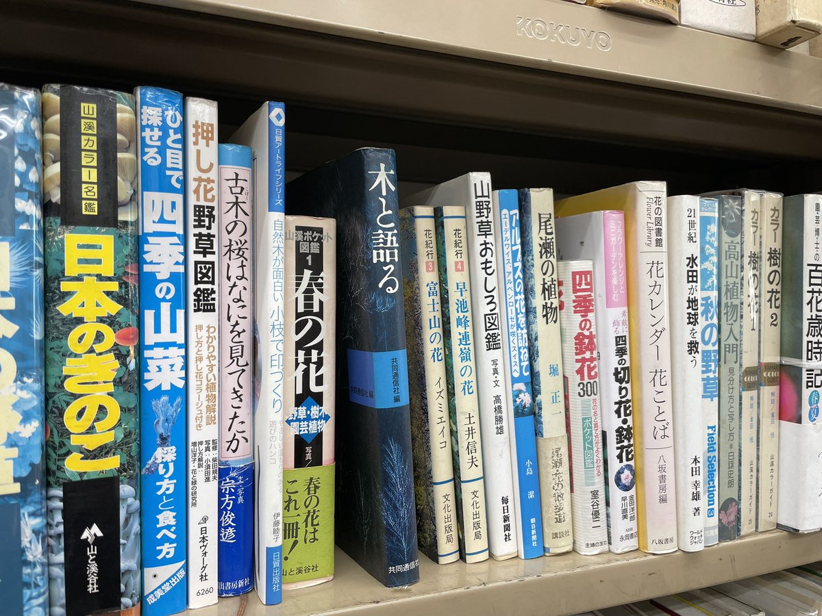 飛鳥プロレスの篠瀬三十七さんがご来店！

店頭にもポスターを貼りました。
年明けの興行では、娘さんの しのせ愛梨紗選手 が、憧れの大先輩・世羅りさ選手 とついに対戦だそうです！

会場は板橋区・常盤台。
板橋といえば東京古書組合では北部支部のホーム！
北部支部の古本屋さん！応援しましょう！