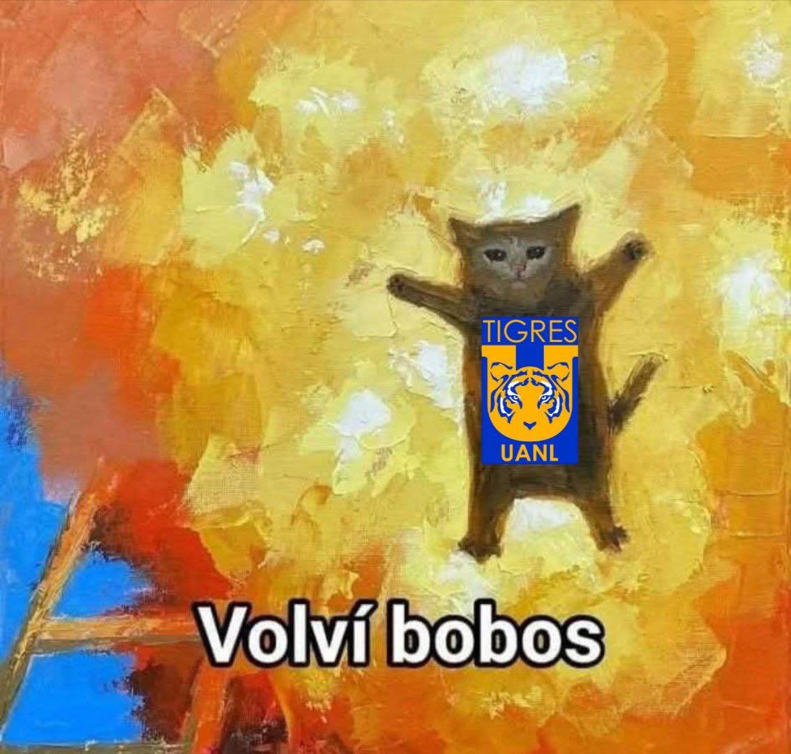 TIGRES DE REGRESO EN UNA FINAL