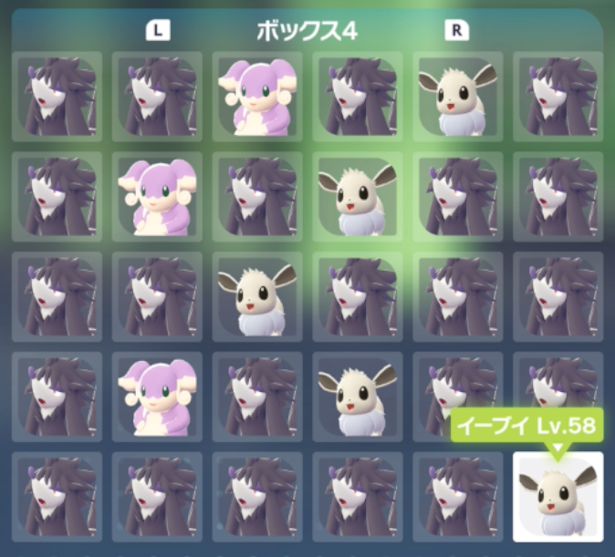 syumiPokemon's tweet photo. ポケモンZA『何でも交換会』開催のお知らせ

【日時】
12月8日(月)22時～23時

主は『19番産色違いのポケモン』を流します。
色違いラブボ入り親分イーブイ♂も流すよ！

↓↓放送はこちら↓↓
https://t.co/AvuKlkiim3

【やり方】
１、あいことば『０１２０』で交換
２、誰かとマッチング
３、必ず交換
※同じ方と何度当たっても必ず交換してください

【禁止】
・マッチしたのに交換しない事
・バグまたは改造、増殖の疑いのあるポケモンを流す

※注意※
・色違いの交換会ではありません。

・交換に出すポケモンはそこらへんで捕まえたポッポ（通常色）でも大丈夫です！

・1分待っても相手が交換してくれない場合は切断して次いこう！（エラーの可能性有り）

ルールを守って楽しく交換会しようね(๑ㅎ⌓ㅎ๑)ﾉ

#しゅみ交換会 #ポケモン交換会 #ポケモンZA #ポケモン