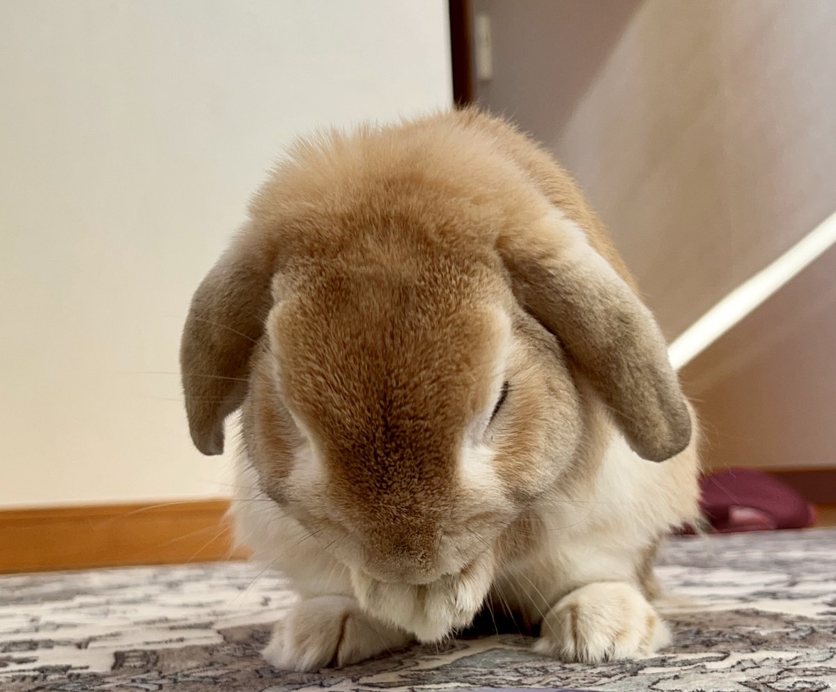 この几帳面なおくちの拭き方はＡ型だな