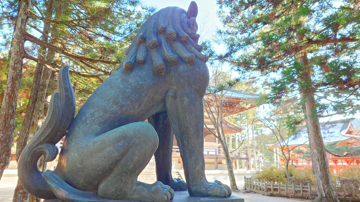 Post by 【公式】社会専科 on X: 南無大師遍照金剛