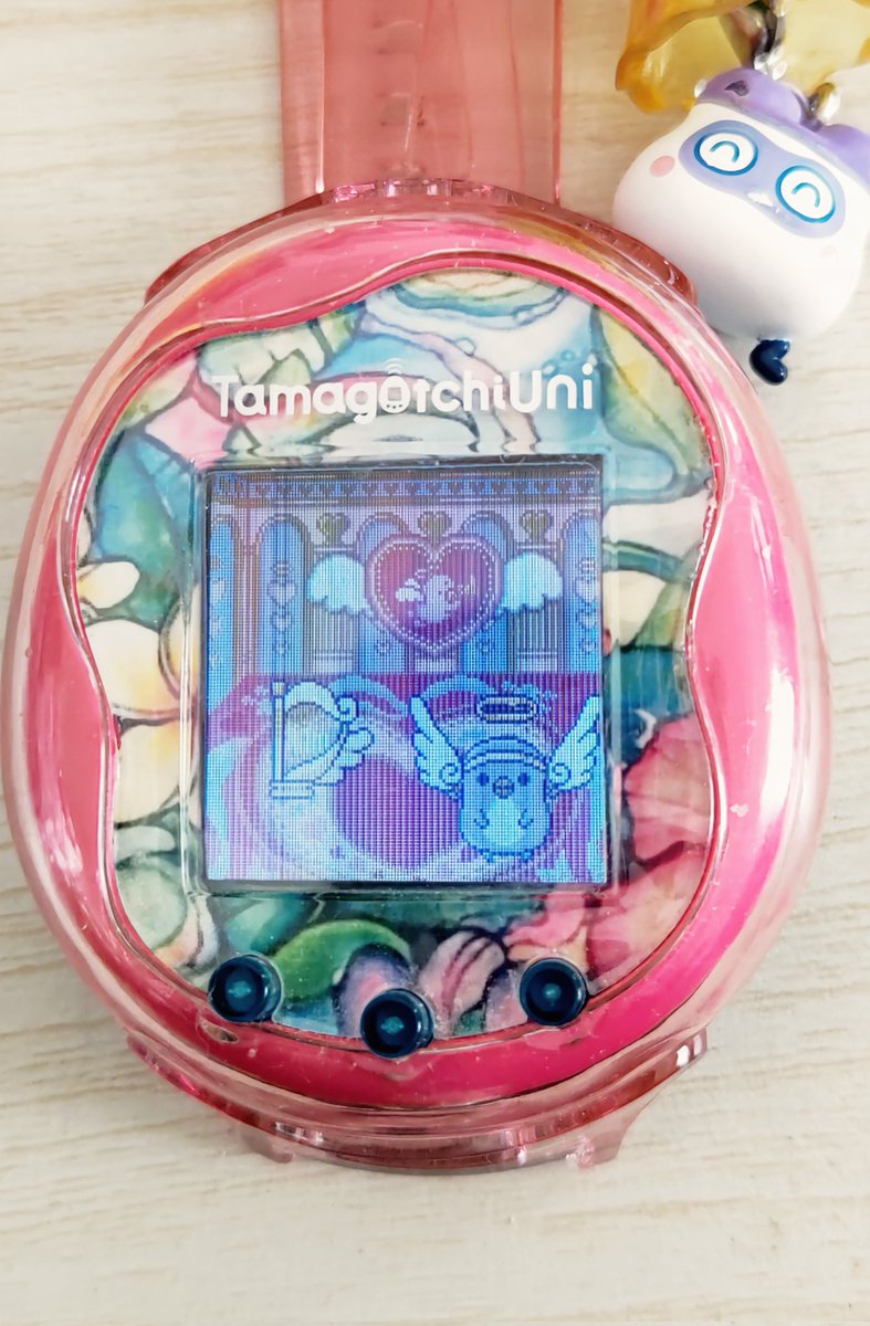 さちページ 昨夜、サンリオからエンジェルにフィールド変えました。 #たまごっち