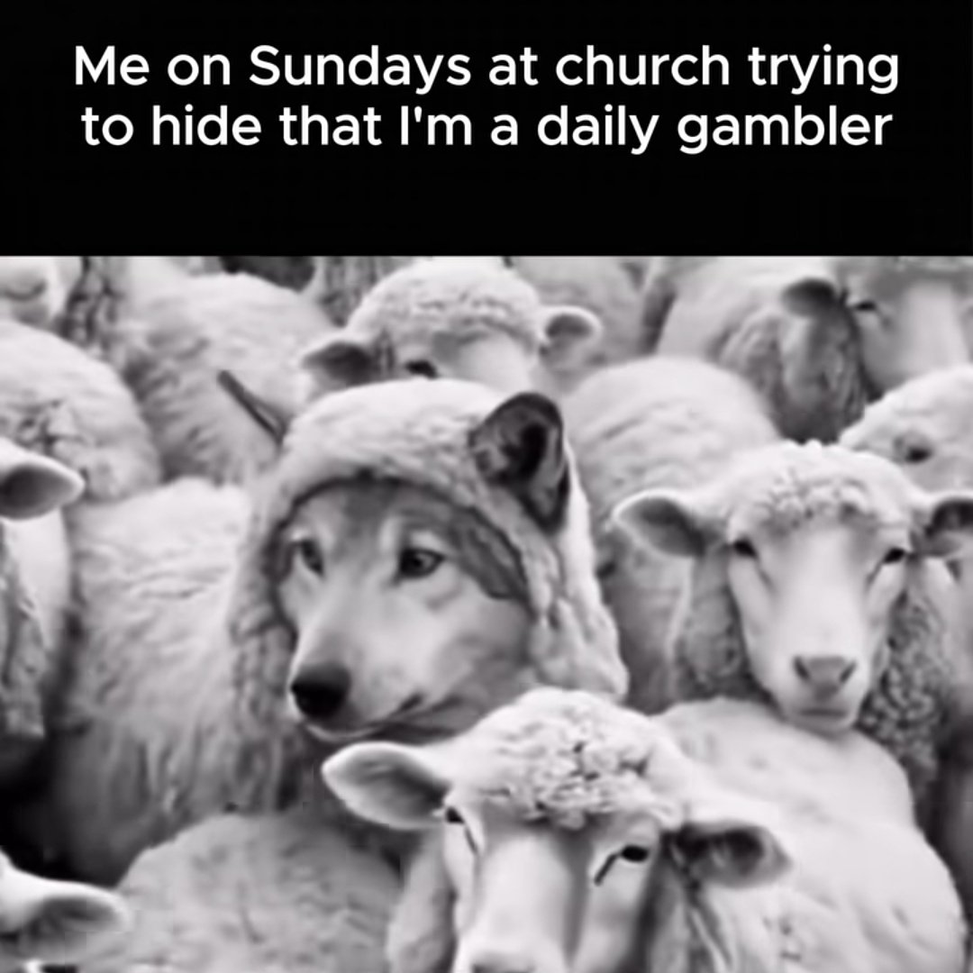 gm if you gm back 💙