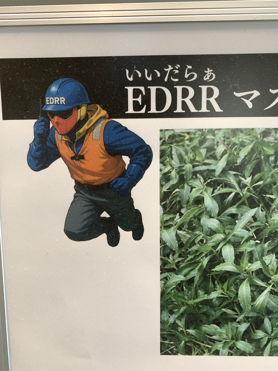 ちゅんちゅん丸🩵💛🩵💛 (@tsutomu32026) / Posts / X