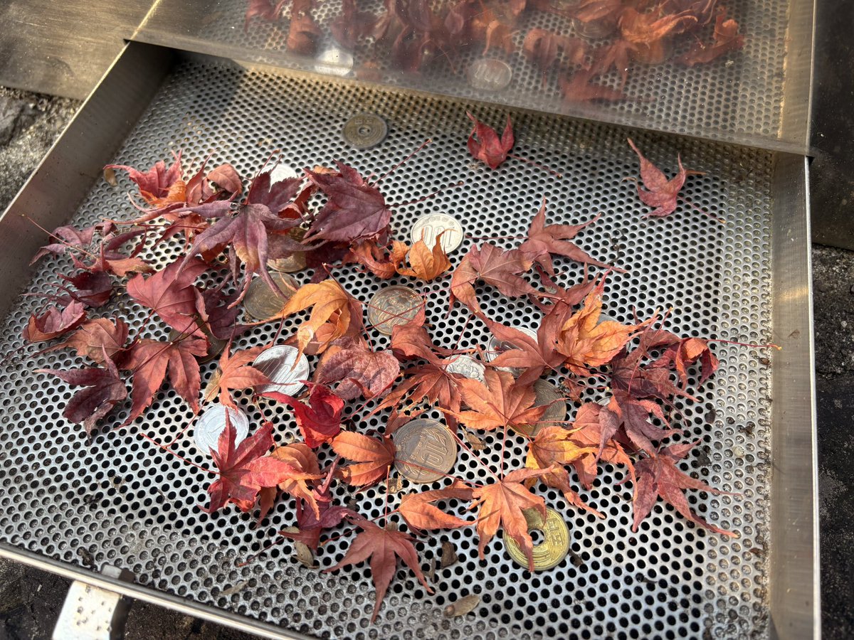 TagaOomine's tweet photo. 本日十二月第一週の護摩供を修しました。
急な寒さがやってきて木々は大忙しで紅葉して落葉しています🍂
落ち葉のお賽銭がたくさん入っておりました。
インフルエンザが流行っておりますが、どうぞお身体に気をつけてお過ごしください。
#万灯呂山　#萬燈籠山不動堂　#護摩　#修験道 https://t.co/z9S6LJ3Jgw