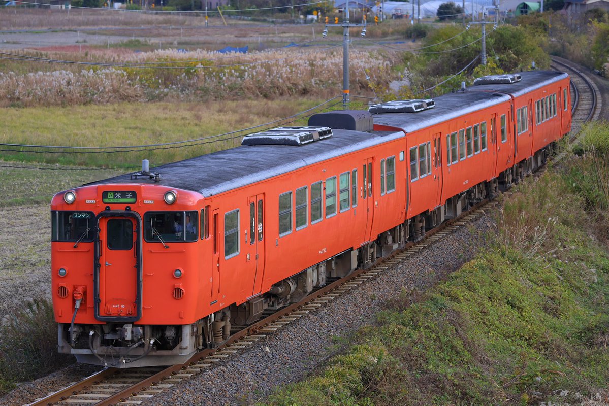 レレレのおじさん。専用　　大黒様 レレレのじいさん (@timajuku1) / Posts / X