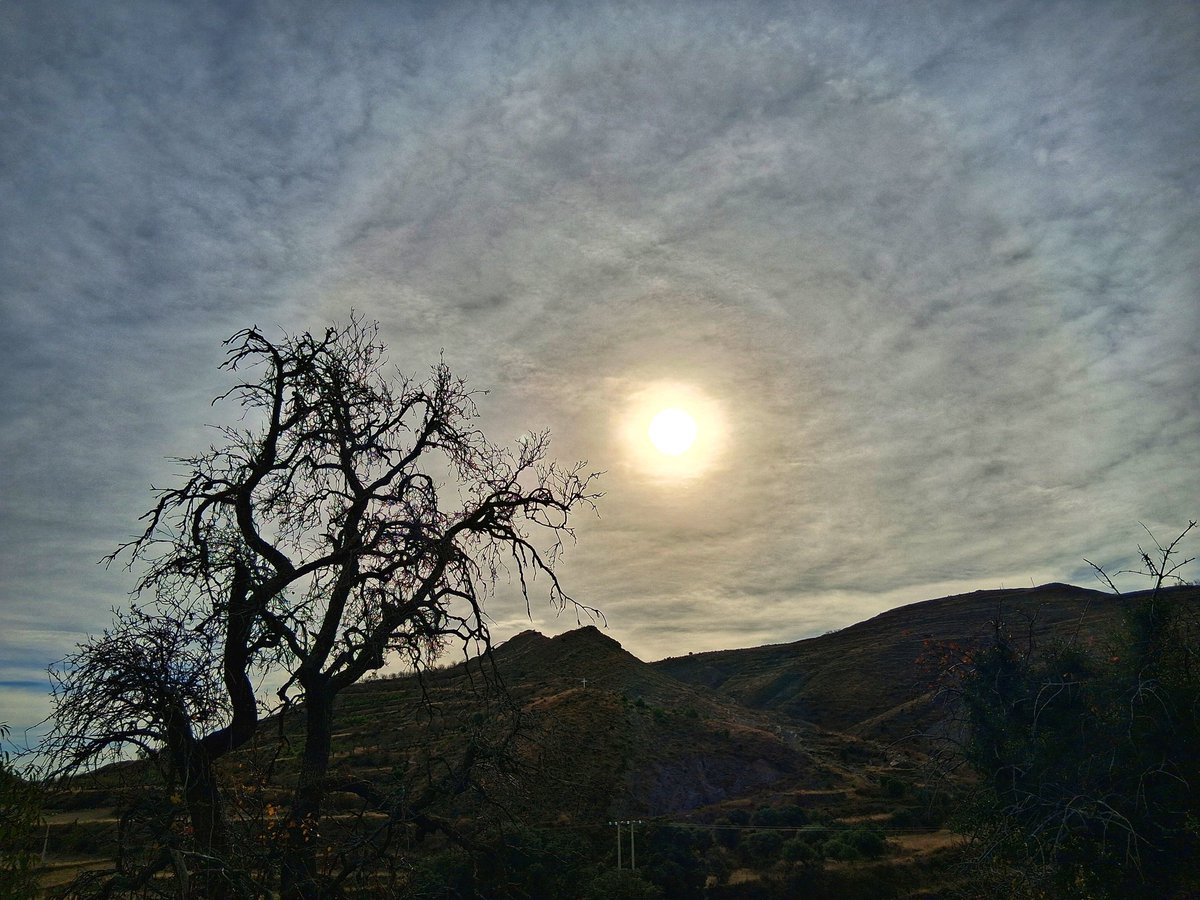 SanPedroAp72844's tweet photo. 7.12.2025
"En el arte, el instinto es suficiente."
#cornago #desdelugarprivilegiado
@AEMET_Aragon
@Aemet_Corpora
@AEMET_LaRioja
@AEMET_Navarra
@lariojaMeteo
@MeteoSE
@meteosojuela
@RTVELaRioja https://t.co/mzDji1tqwv