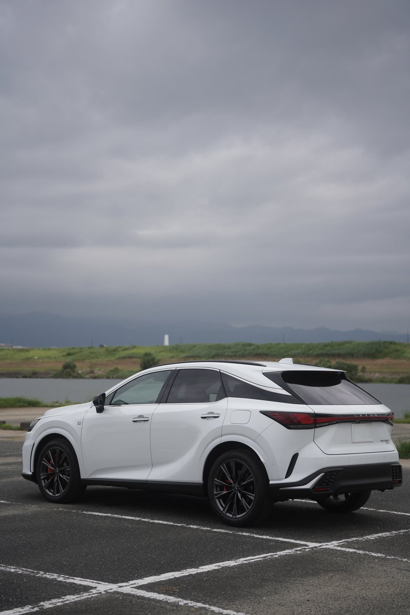 もずくページ 絶品】もずく 120g×3P 幻のモズク 大間のもずく 荒波もずく 海峡もずく