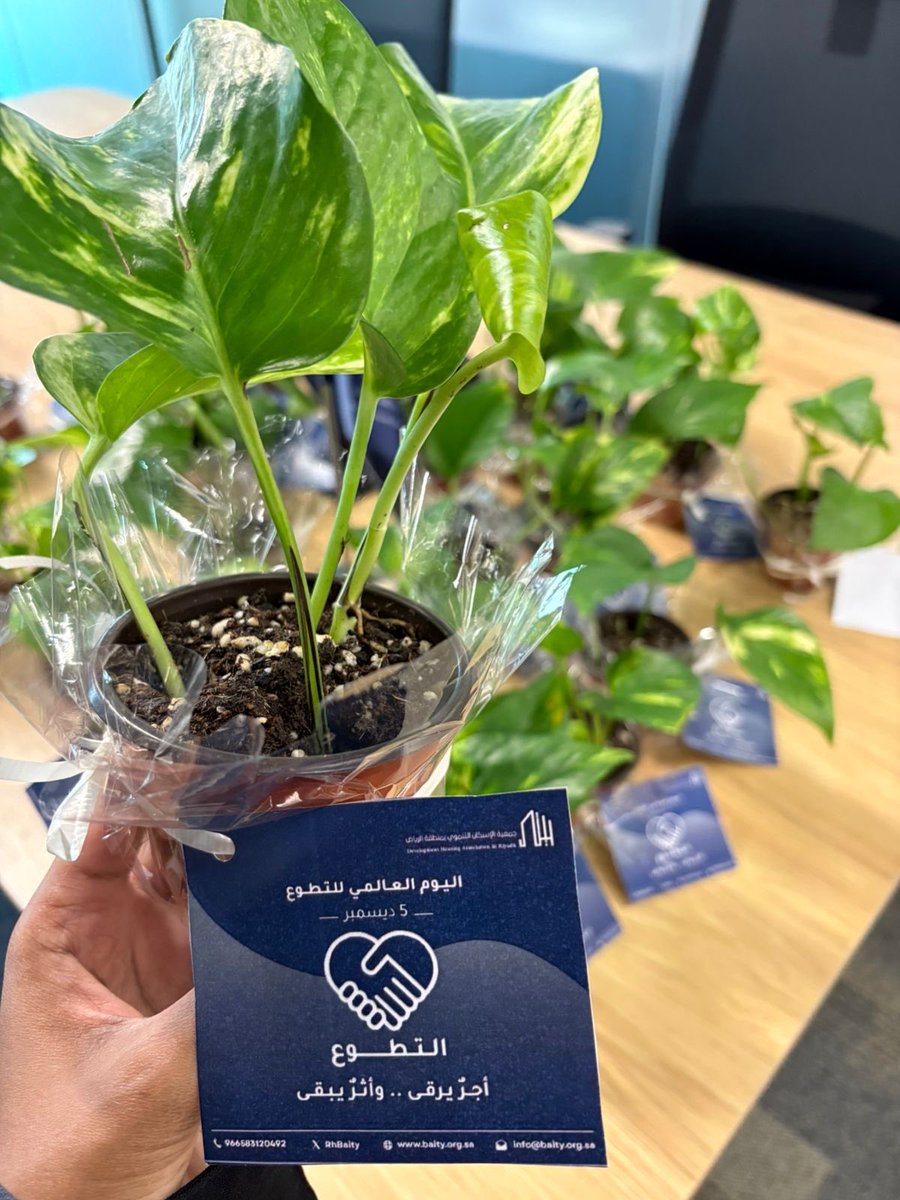 RhBaity's tweet photo. 🌱✨ احتفلنا في جمعية الإسكان التنموي بيتي بيوم التطوع العالمي، تقديرًا لجهود المتطوعين والمتطوعات في خدمة الأسر الأشد حاجة.
أثر يُزرع.. وأثر يبقى.
#اليوم_العالمي_للتطوع #جمعية_بيتي #جمعية_الاسكان_التنموي_بمنطقة_الرياض_بيتي https://t.co/HI1J5gD5Tu
