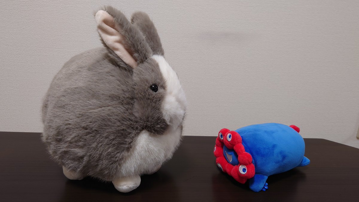 枕カバーが突然裂けたのでニトリに買いに行き、謎のデカうさちゃんぬいを買って帰ってきた
可愛すぎる でもでかない？
もちミャクも慄いています