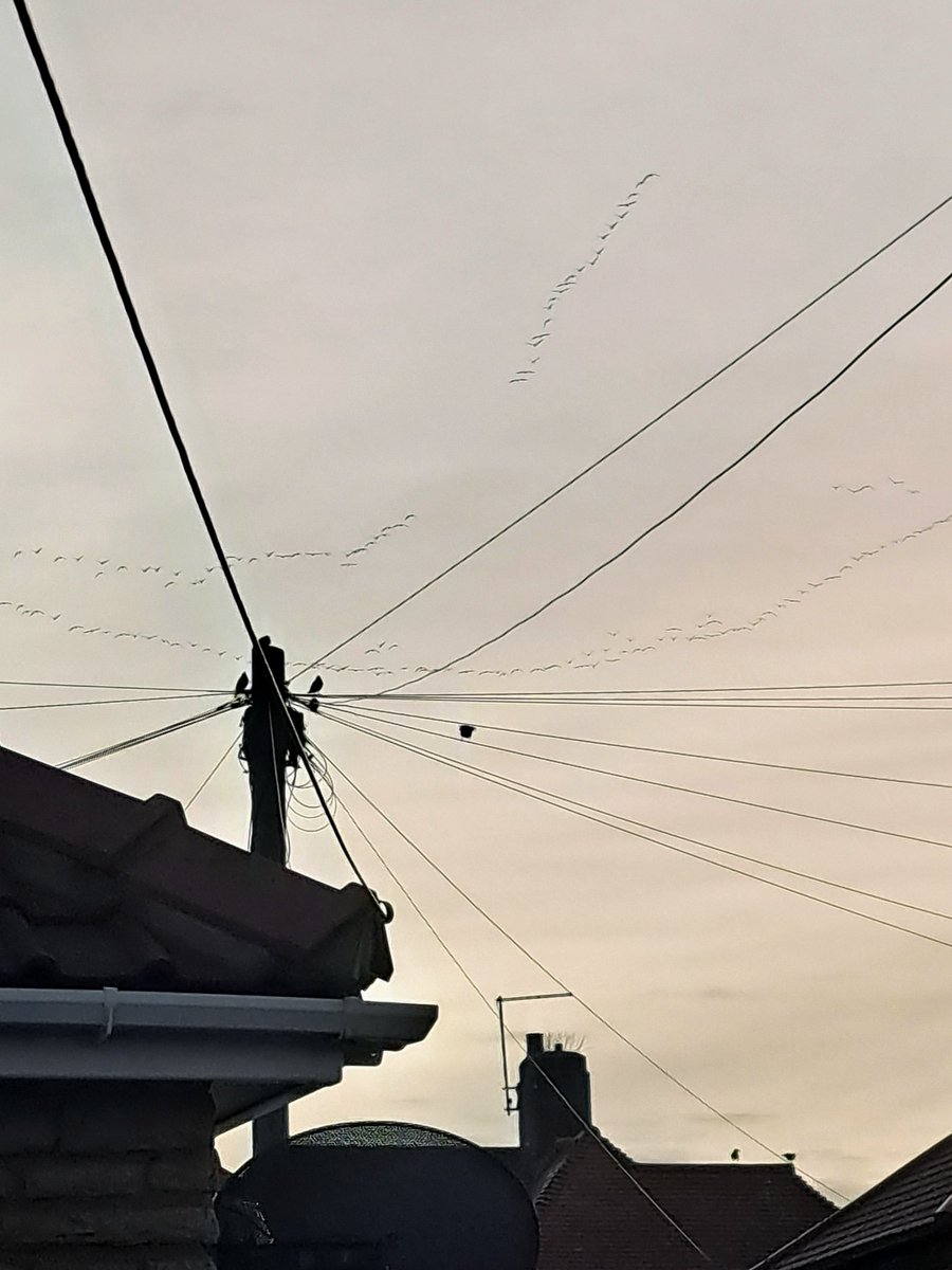 Christopher Corner tweet media