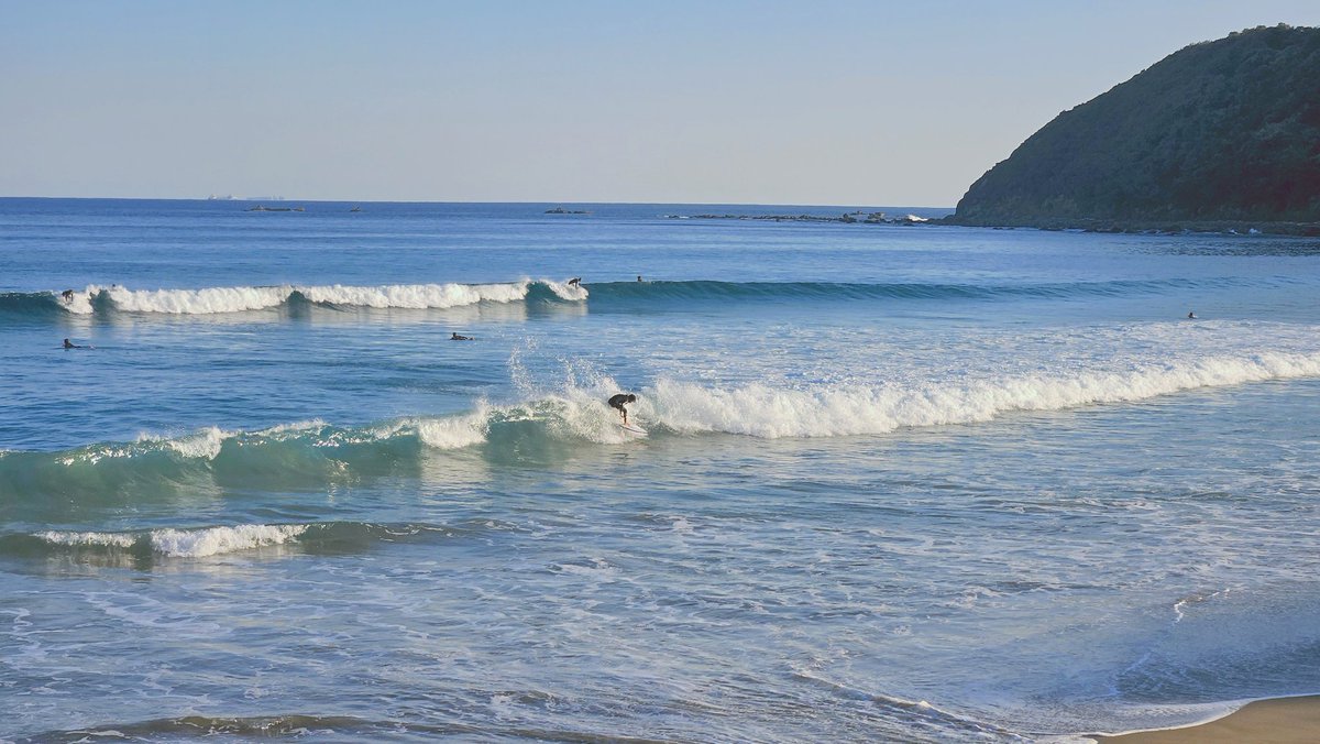 ボーーッとさん tweet media