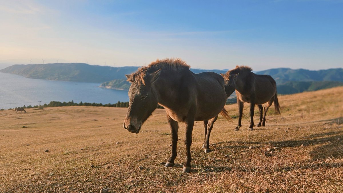 ボーーッとさん tweet media