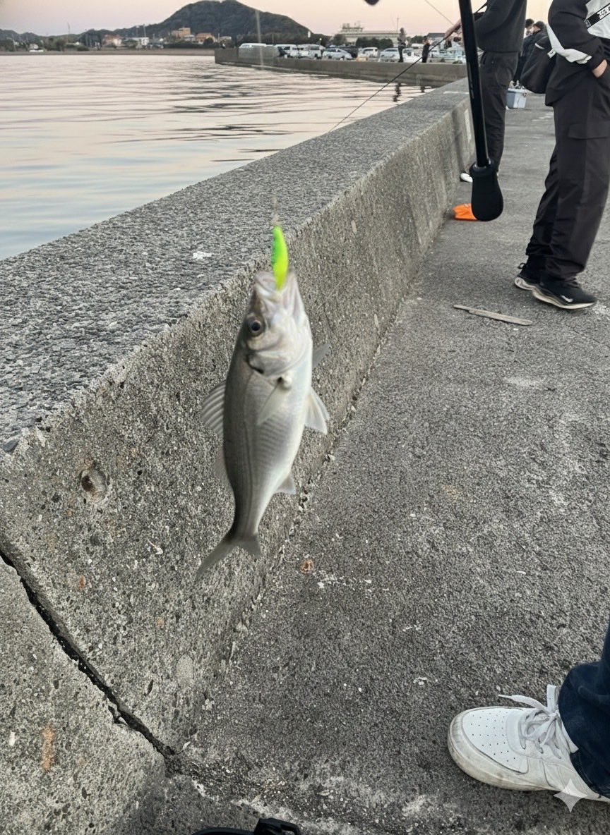 久しぶりに海に知り合いと釣りに行ったがアジ、カマスは釣れず。
まあ、久しぶりに楽しかった😁