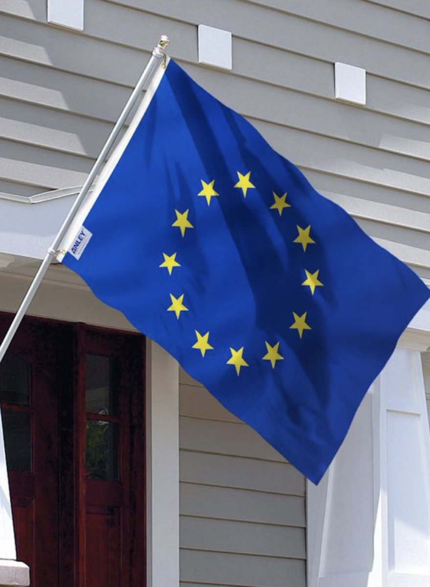 Regina sine labe originali concepta. 
Ora Pro Nobis … ils t’ont bafoués avec leur drapeau bleu étoilé ! Mais tu vaincras 🙏✝️