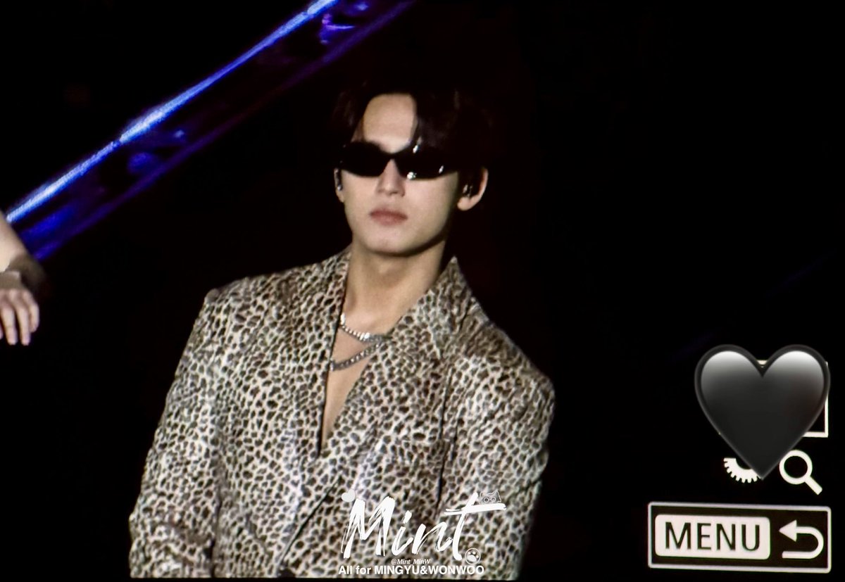 251207 SEVENTEEN NEW_ TOUR IN Osaka Day3 🐆 #민규 #MINGYU #金珉奎