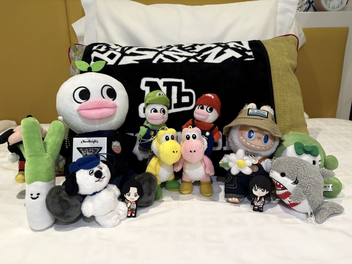 Novelbright引退品 novelbright