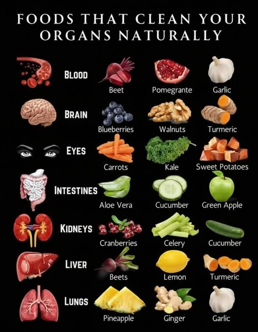 ✨ “Your body is constantly cleansing, repairing and restoring. Food can either help… or hinder.”

Many whole foods contain phytonutrients, enzymes and minerals that naturally support the organs that work so hard for us every day — the blood, brain, eyes, intestines, kidneys,