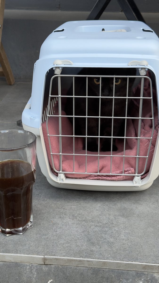 2.5к/10к🎉

send.monobank.ua/jar/5f7z82Zjs5