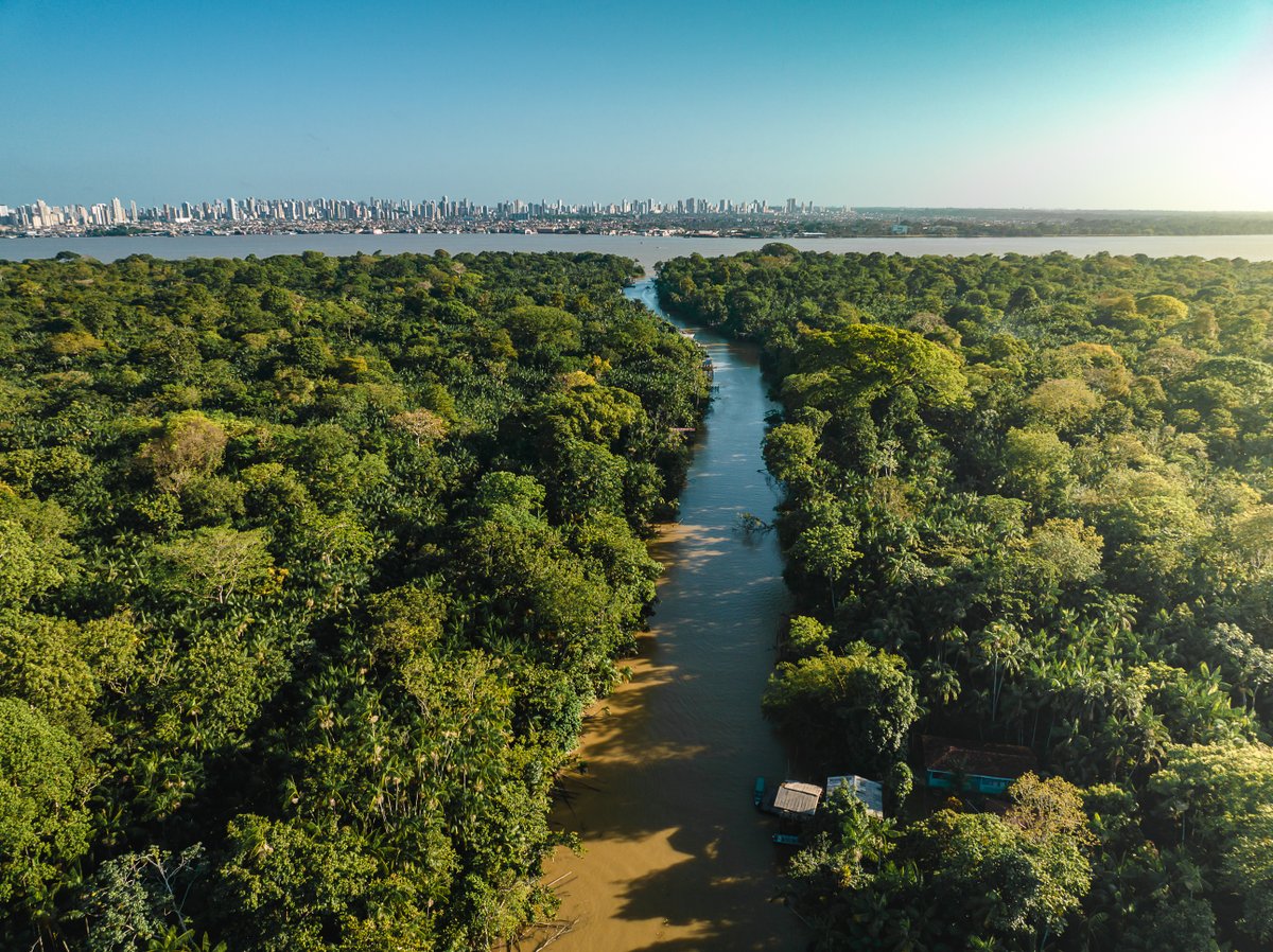 theGEF's tweet image. 75 % of global infrastructure that will exist by 2050 hasn’t been built yet.

The GRID Program, funded by @theGEF and in collaboration with @WWF, @ADB_HQ, &amp;amp; @UNEP shows how sustainable design can protect ecosystems before the first shovel hits the ground. wrld.bg/oFEN50XzQbT