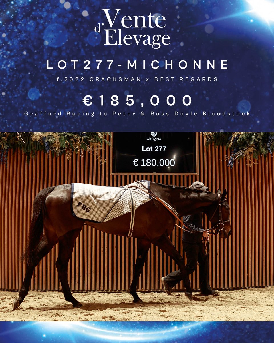 ARQANA tweet media