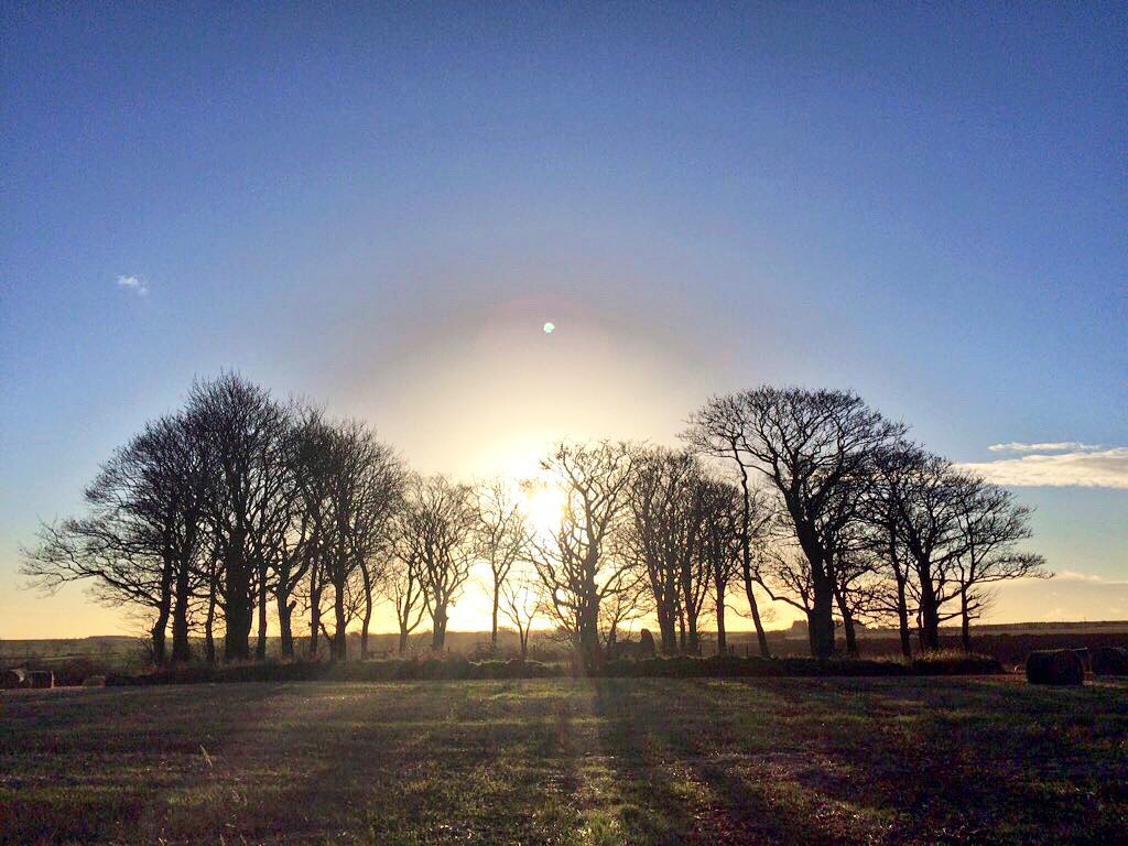 On the Winter Solstice the sun of the old year dies and is reborn the next day. And then, important to those of us in dark, wintry Scotland, the days get lighter!

I took the picture one Solstice at Berrybrae Stone Circle in Aberdeenshire.

#FolkloreSunday