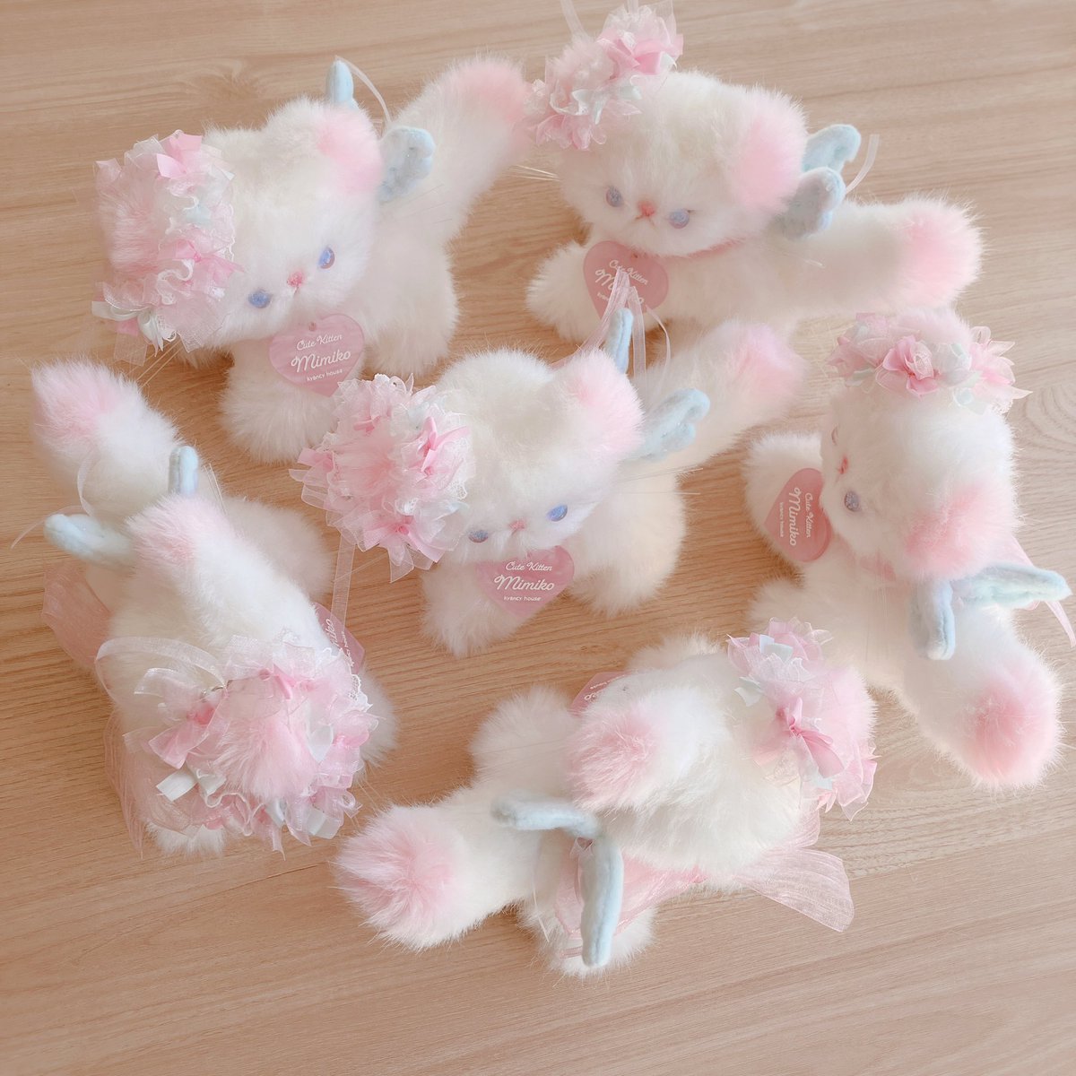 kyancy house キャンシーハウス (@kyancyhouse) / Posts / X